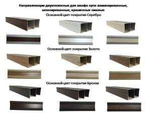 Направляющие двухполосные для шкафа купе ламинированные, шпонированные, крашенные эмалью Прокопьевск